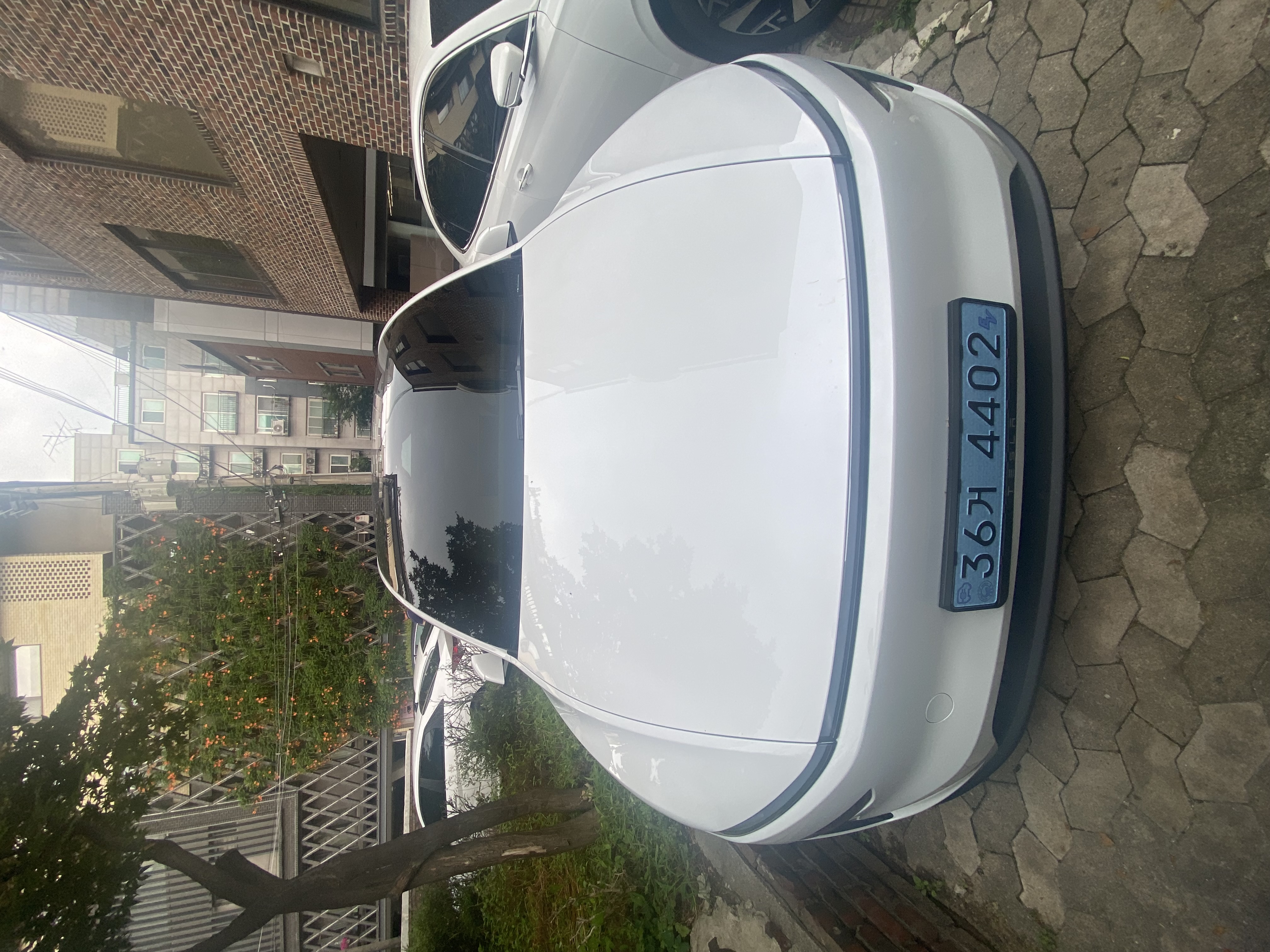 테슬라 모델 Y 출고후기 전면 사진