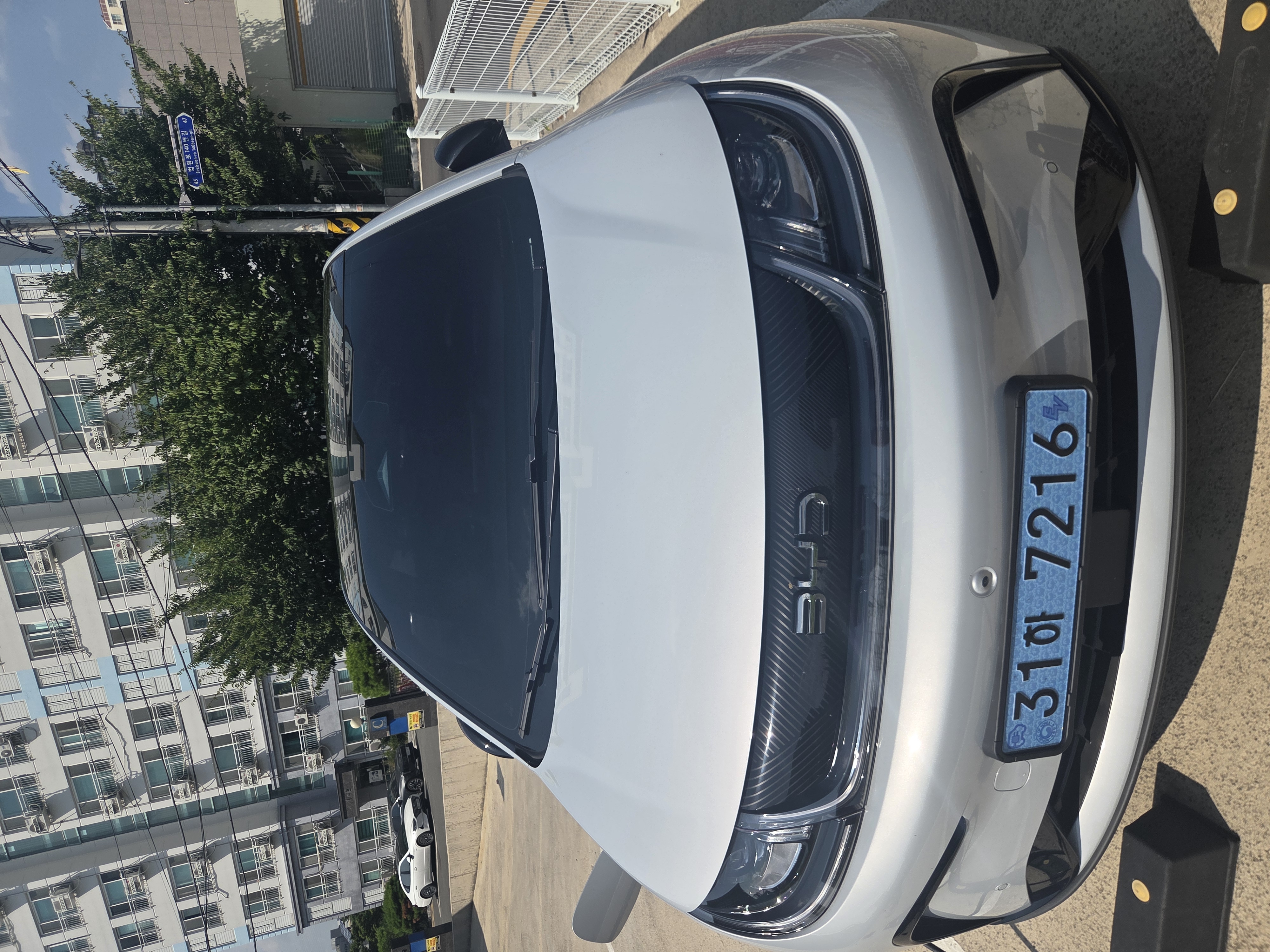 BYD Dolphin 출고후기 사진