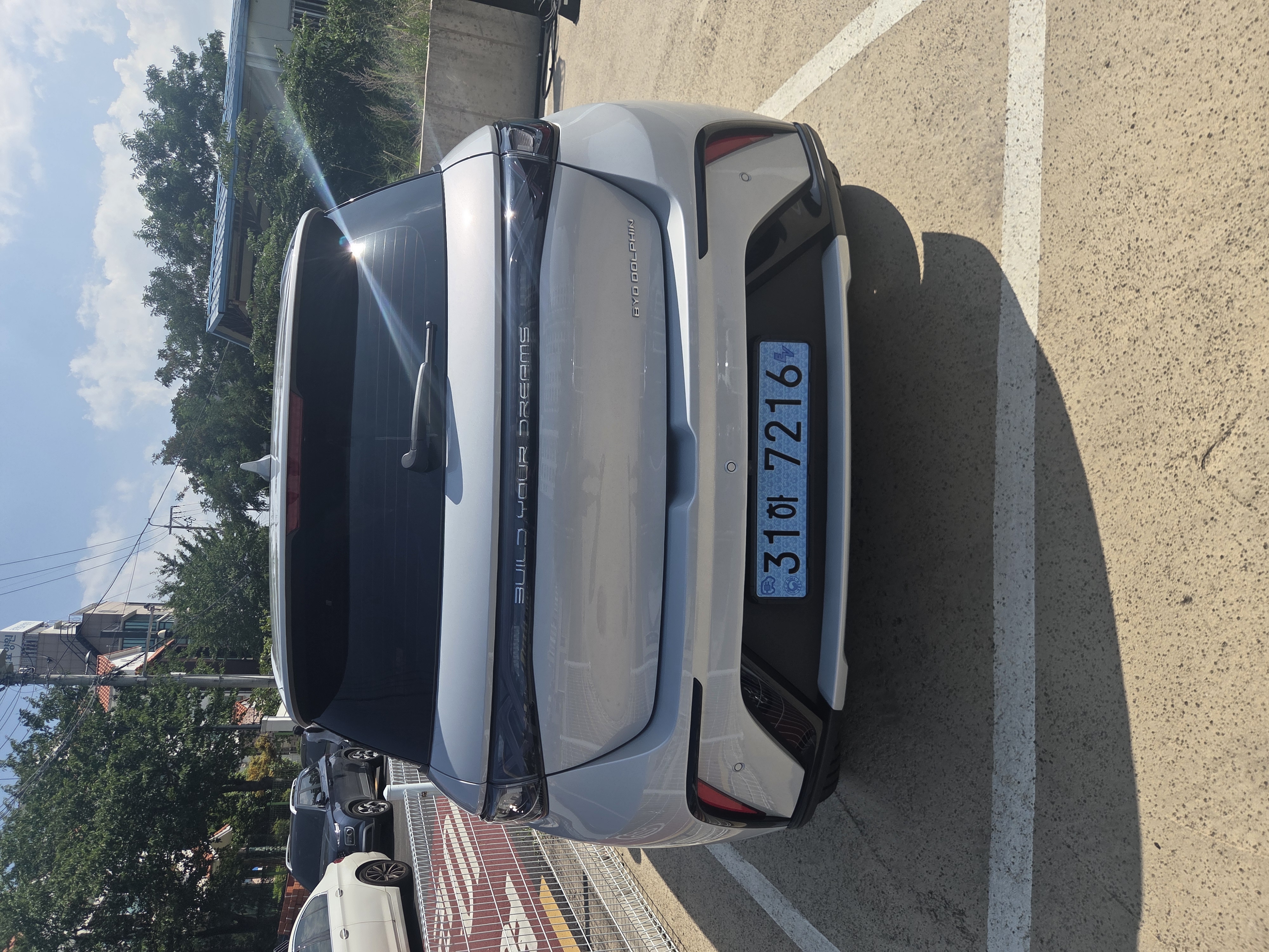 BYD Dolphin 출고후기 사진